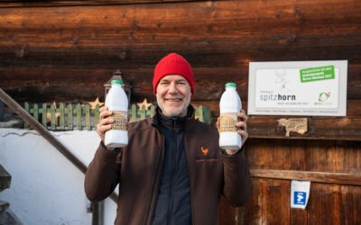 Le lait de vaches avec des cornes de Feutersoey
